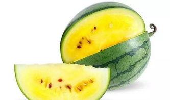 娱乐吃瓜拍摄地点在哪里,探寻明星打卡热门地点